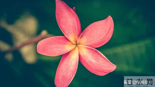 第三名:天秤座,12月10号,接下来9天,得跟你说句大实在话!