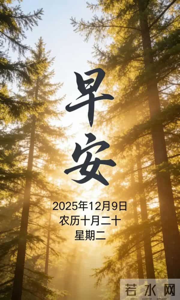 2025.12.9 冬天周二早安愉快！最新精美周二早上好温馨祝福语图片
