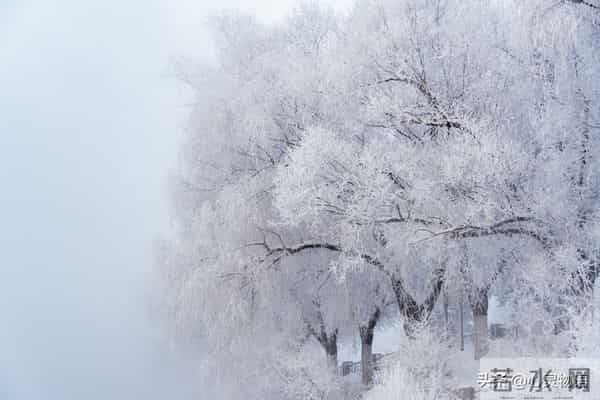 男人在这4个时刻抱住女人，女人基本不会拒绝