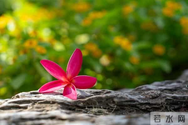 过七十岁，能混到以下几点，就算成功，就该知足