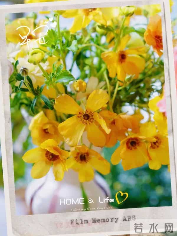 2025年12月11日,星期四,农历十月二十二,早安吉祥祝福语!