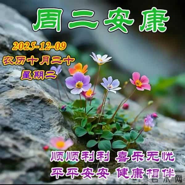2025.12.09今日十月二十——早上好，周二祝福问候语，早安图片
