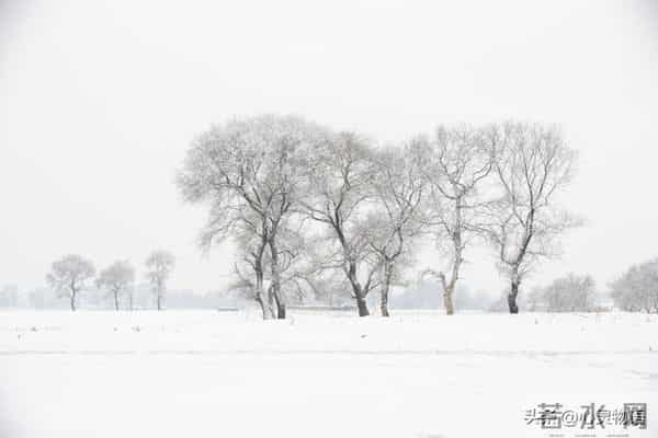 男人在这4个时刻抱住女人，女人基本不会拒绝