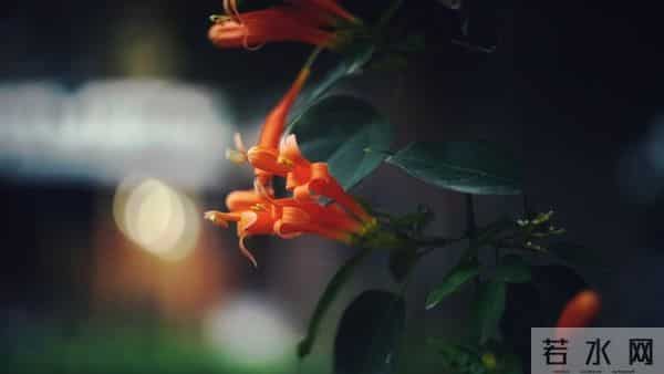 2025，最后一波好运已发货！请你签收属于你的好运！