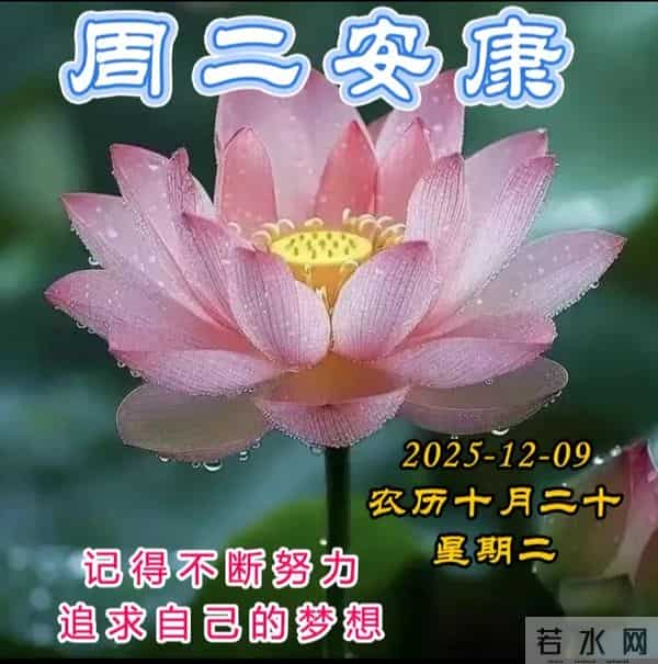 2025.12.09今日十月二十——早上好，周二祝福问候语，早安图片