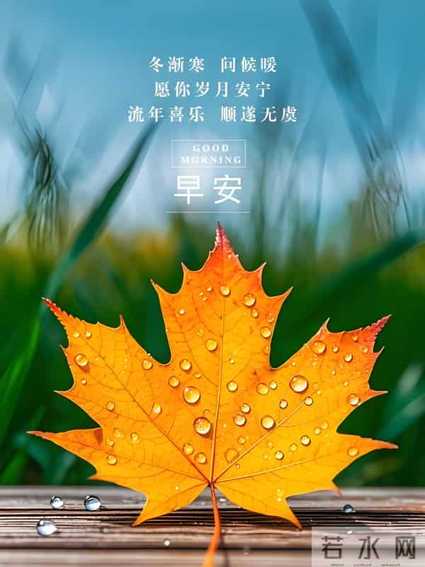 朋友圈早安高级文案，新的一天，愿你与优秀悄然相逢。