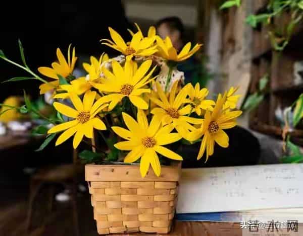 两性关系,68女人大实话,男人过了70岁,只剩下两个用处