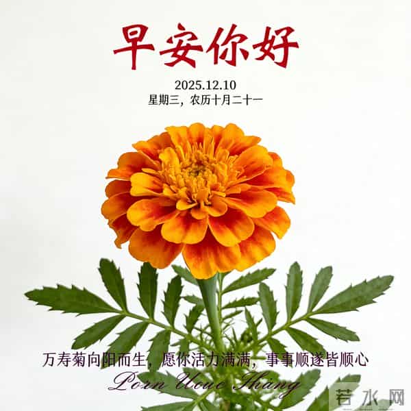 2025.12.10 早安祝福 围巾手套御严寒 亲友叮咛情意暖 早安幸福万年长