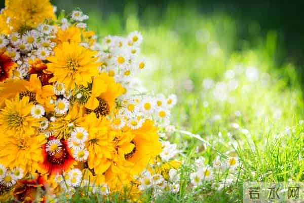 霉运已渡完,你将无往不利,对自己说一声,逆风翻盘,苦尽甘来