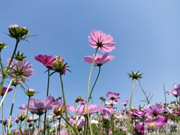 真正相爱的两个人，其实是会有“磁场反应”，很明显