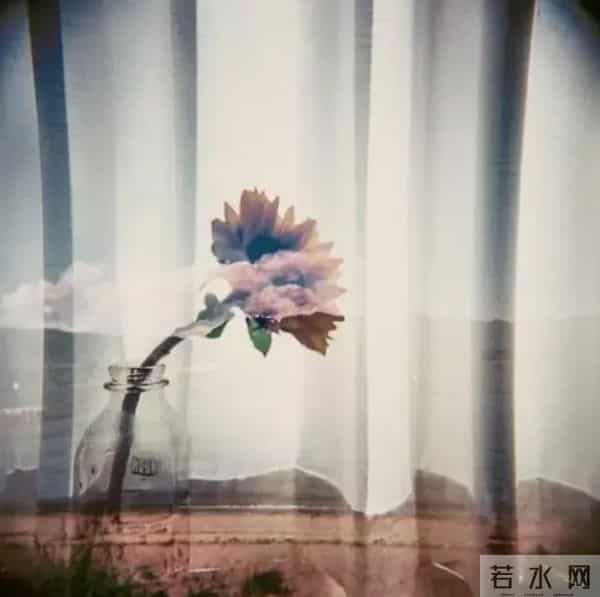 关系再亲近,去别人家里,也不要带这4样东西,太遭人嫌弃!