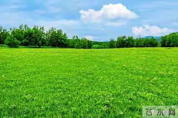 发现妻子在外儿女双全，我平静的离了婚，两年后她带着娃上门认爹