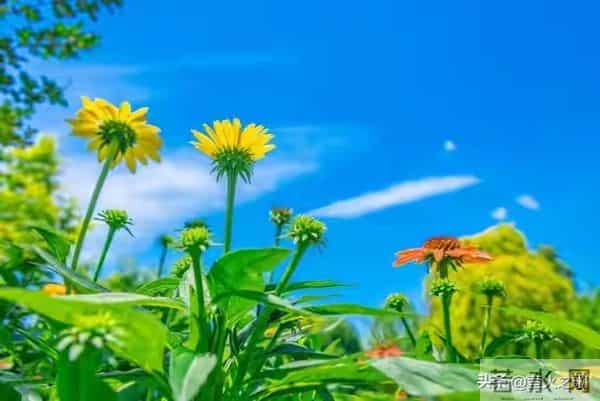 人过60，永远不要在熟人面前，说以下几句话，谁说谁后悔