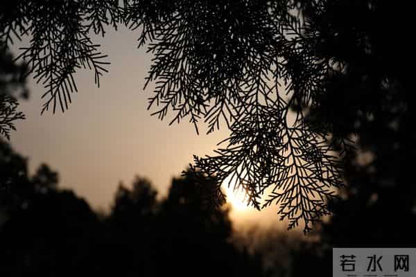 一眼就爱上！20个让你念念不忘的神仙句子，每一句都值得抄下来