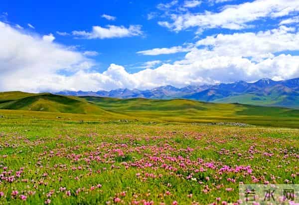 人若愚蠢，一看便知，愚蠢的人，往往有这三个明显特征！