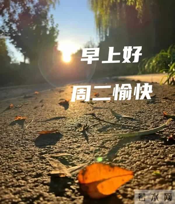 2025年12月9日早上好 早上好温馨问候祝福语 早安精美图片 周二愉快
