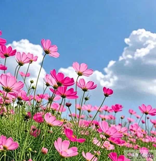 老了才懂：身边最大的仇人往往是兄弟姐妹，只因你还没学会闭嘴