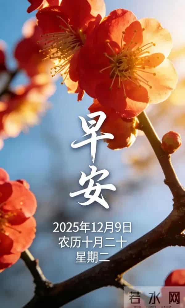 2025.12.9 冬天周二早安愉快！最新精美周二早上好温馨祝福语图片