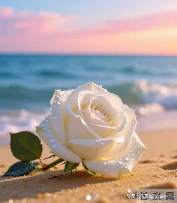 两性关系:99%的女人都曾偷偷做过这件事,却从来不敢说出口