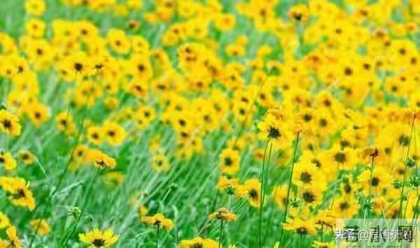 2026年贵人最多的三个星座，越低调，越有人挺你