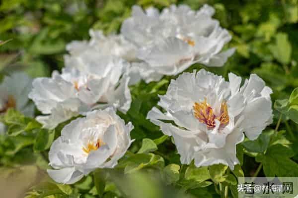 所有不安都是虚惊一场?放宽心,焦虑不过是自寻烦恼!