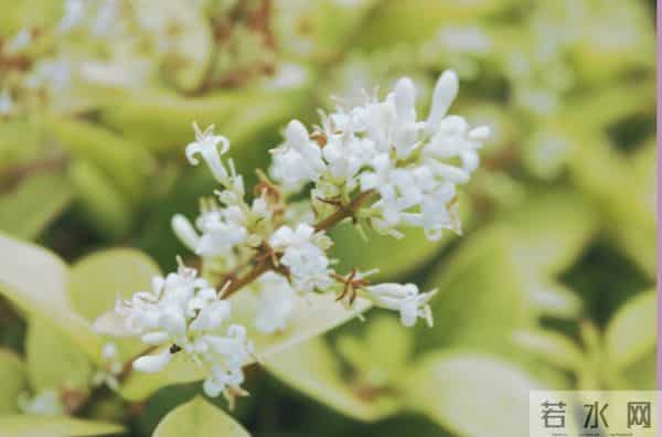 2025，最后一波好运已发货！请你签收属于你的好运！