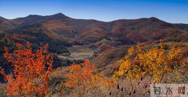 女人动了情，往往不喊老公，而是用这几种称呼
