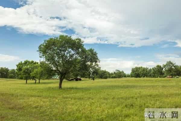 人有没有本事,看脾气便知,脾气越掘越硬的人,日子多半不好过