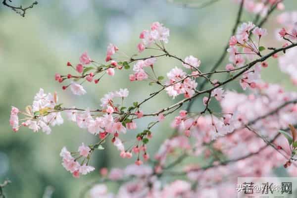 不管你承不承认,女人过了40岁,喜欢一个男人,就会为他做这些事