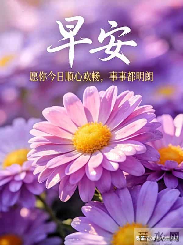 10张早安图片:走错路能调头,可人生的选择没有回头路!周三早安