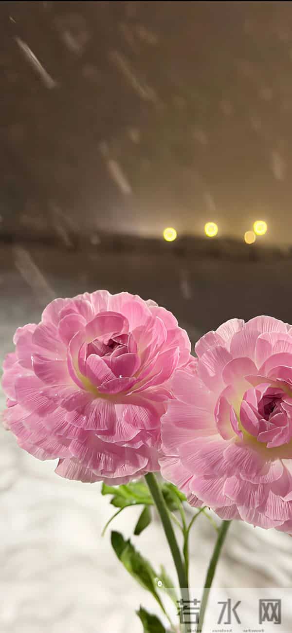 收藏已久的高质量手机壁纸