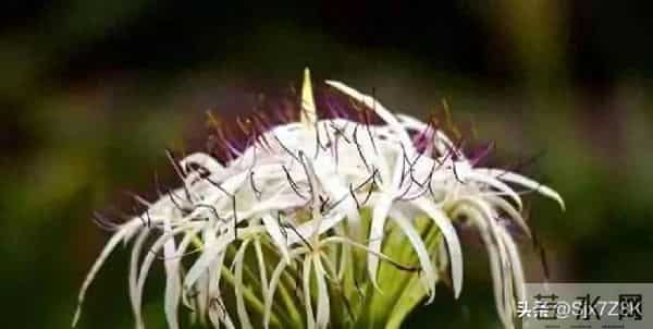 忠告子女:再孝顺,也不要为年过70的老父老母,做这4件事