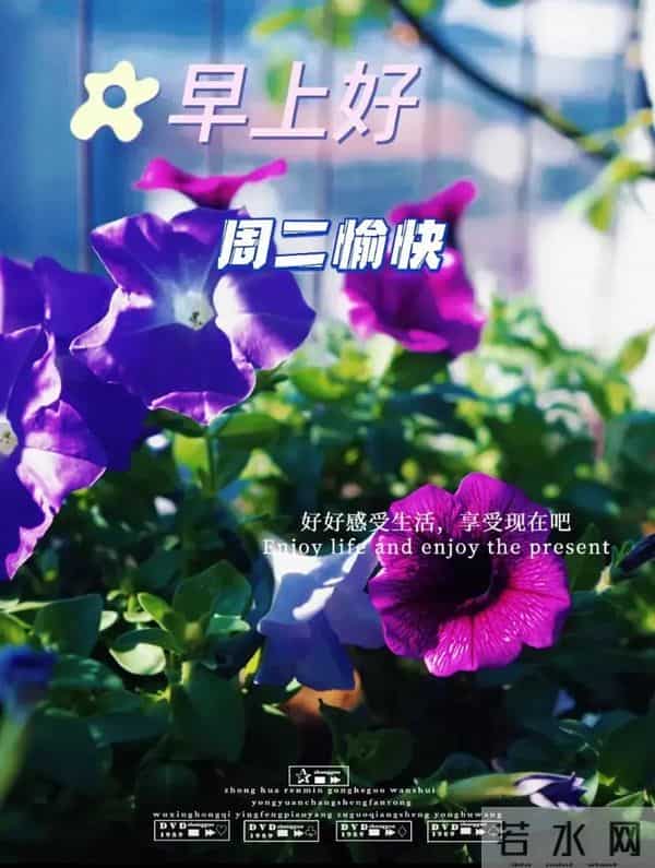 2025年12月09日早上好 早上好温馨问候祝福语 早安精美图片 周二愉快