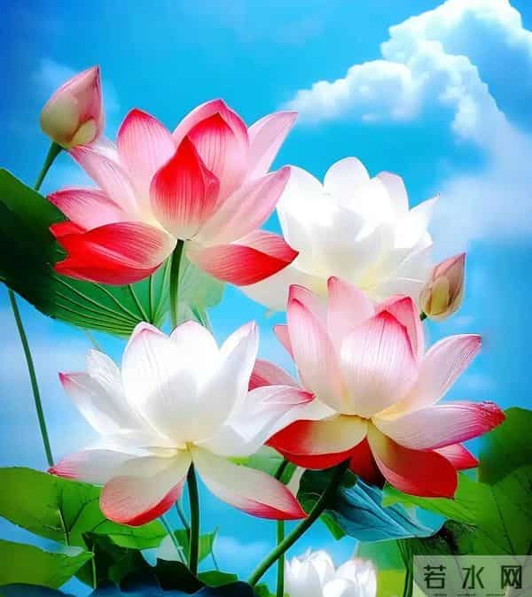 ［心理测试］测一测你有哪些潜在的能力，原来你也很优秀