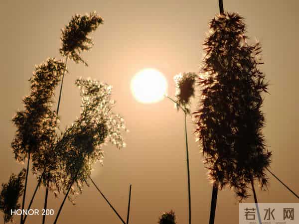 如果我们人生中也有个导航 我们就不会在迷途里慌张