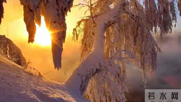 人活着，不要向任何人诉苦！（看完瞬间清醒）