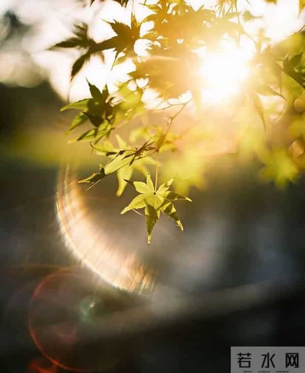 早上，这样发，开始正能量满满的一天