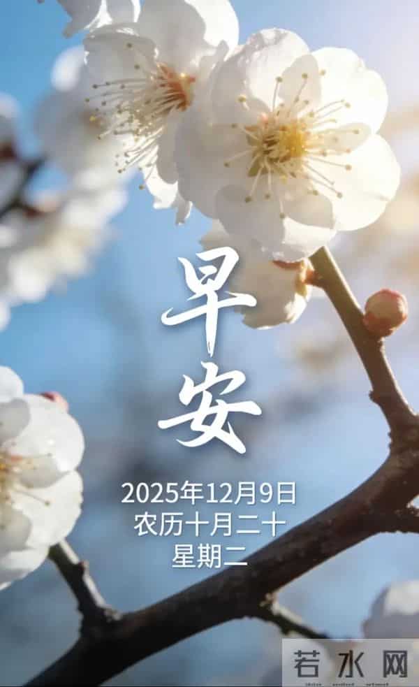 2025.12.9 冬天周二早安愉快！最新精美周二早上好温馨祝福语图片
