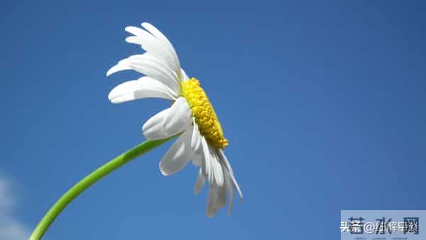 第三名：天蝎座，12月10号，接下来17天，就要喜从天降！