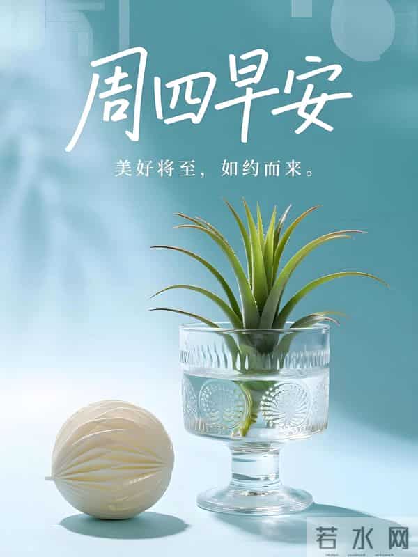 2025年12月11日周四早安 早上好图片最新今天 温馨淡雅的早安图片