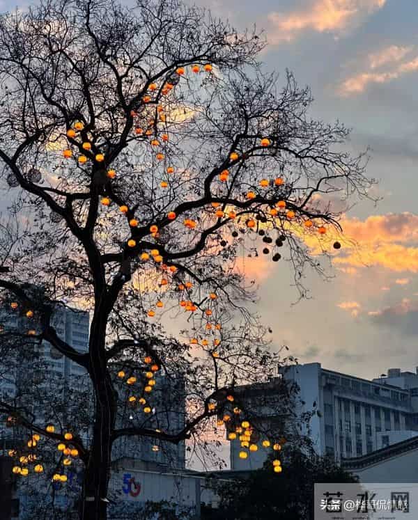 【情感爆文】无须仰望别人，自己便是风景