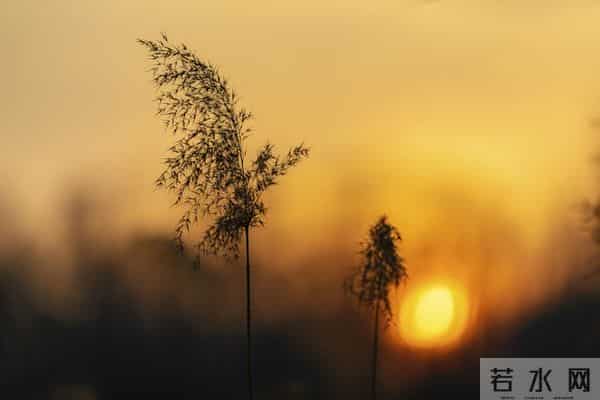 一眼就爱上！20个让你念念不忘的神仙句子，每一句都值得抄下来