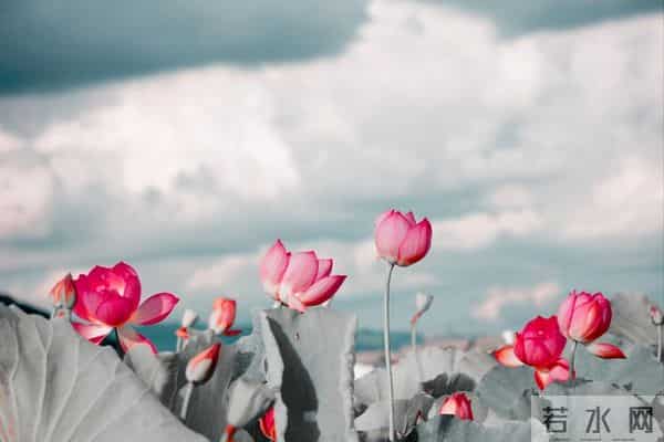 恭喜你!终于熬过人生低谷,请签收你的一顺百顺!