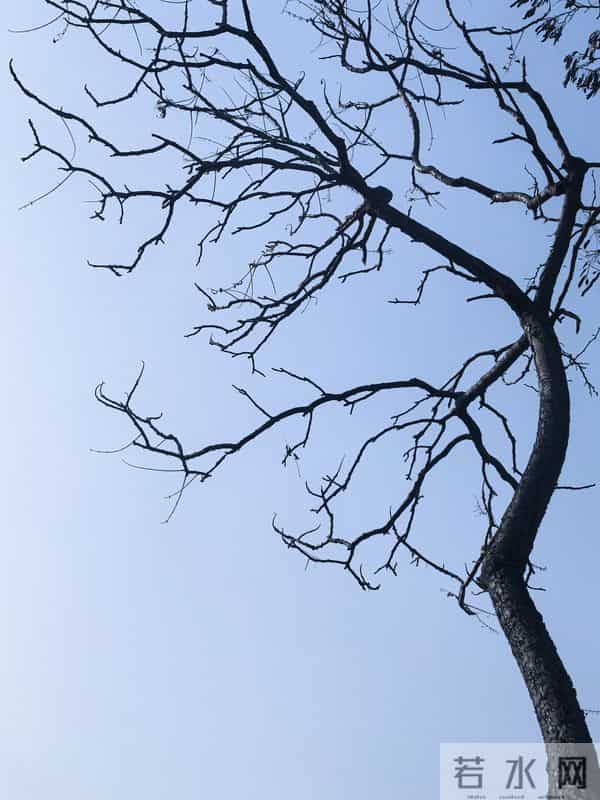 散文-穿过孤独，好好拥抱自己