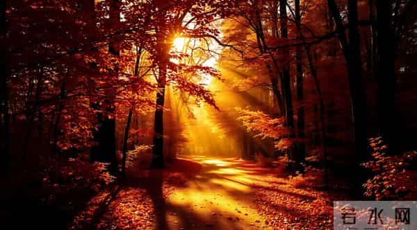 亲爱的，我爱你！牵挂你到老，想念你一生