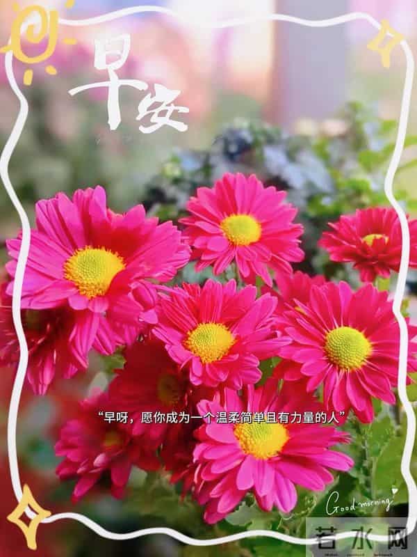 12月10日早上好 早上好温馨问候图片 早安图片最新今天 周三快乐