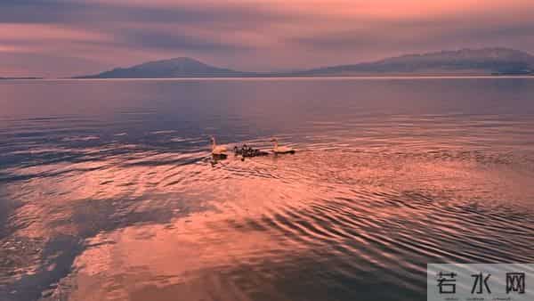 老了才明白:父母一旦超过73,立刻停止4种行为,否则晚景会凄凉