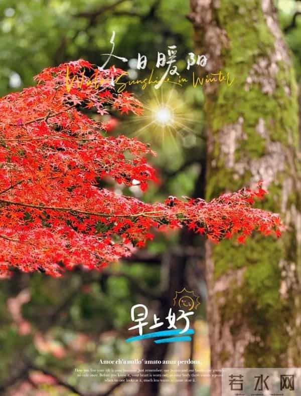 2025年12月09日早上好 早上好温馨问候祝福语 早安精美图片 周二愉快