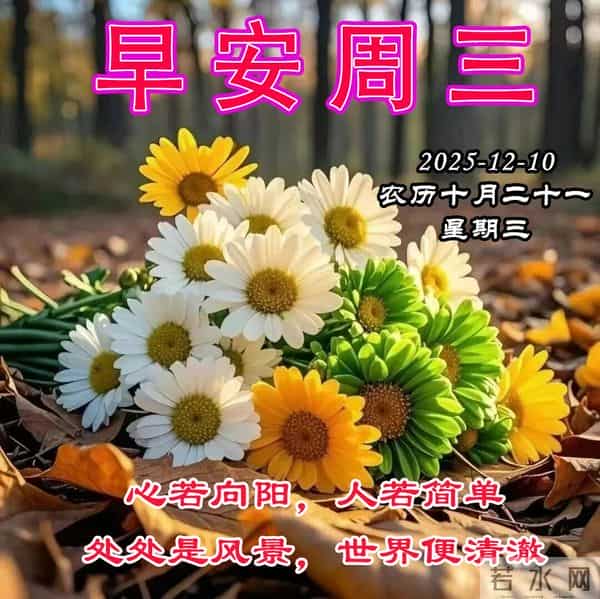 周三早安问候美图-心若向阳,人若简单,处处是风景世界便清澈