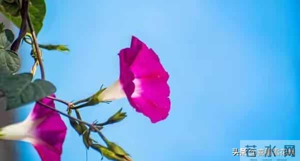 两性关系，惊人发现，60岁与异性靠近，根本不是桃花运，而是这